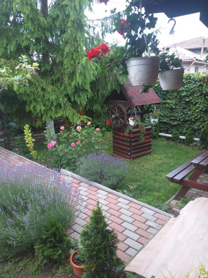 Apartament Casa Mola Mangalia Zewnętrze zdjęcie